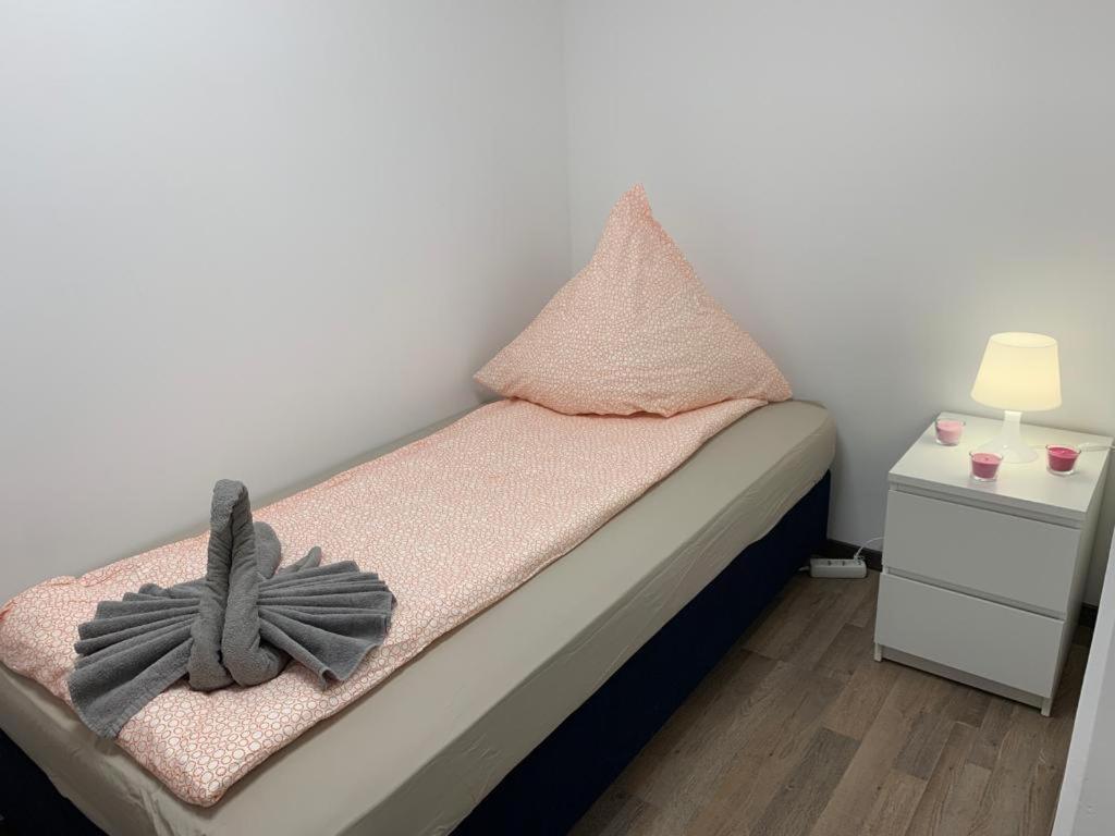Lovely Share Apartment Aachener Weiher Colonia Esterno foto