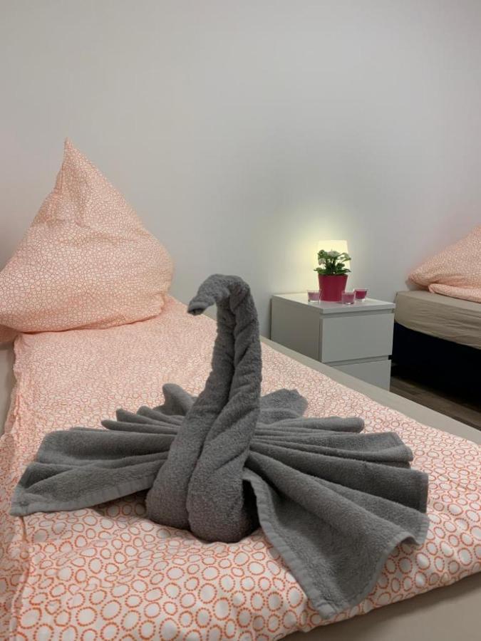 Lovely Share Apartment Aachener Weiher Colonia Esterno foto